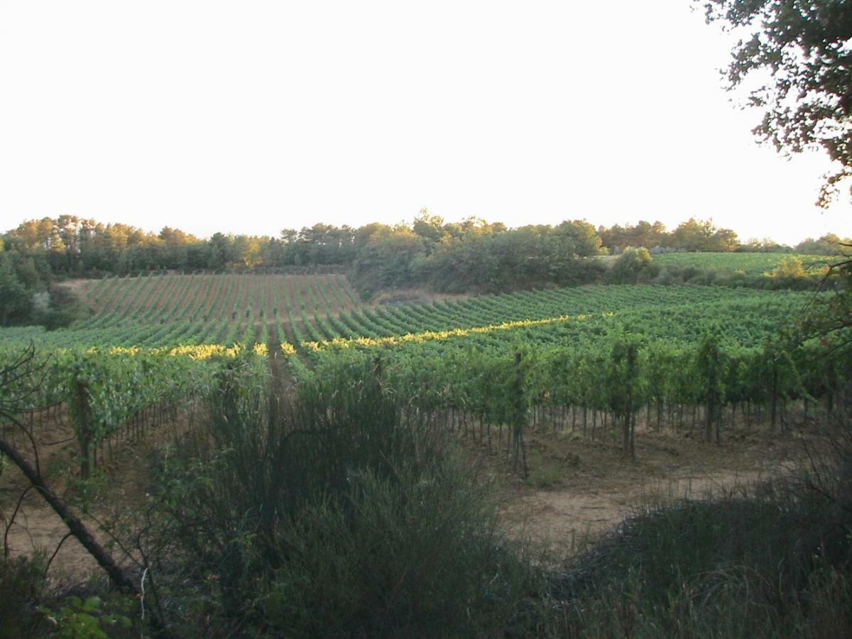 Agriturismo Campo Del Monte Campogialli ภายนอก รูปภาพ
